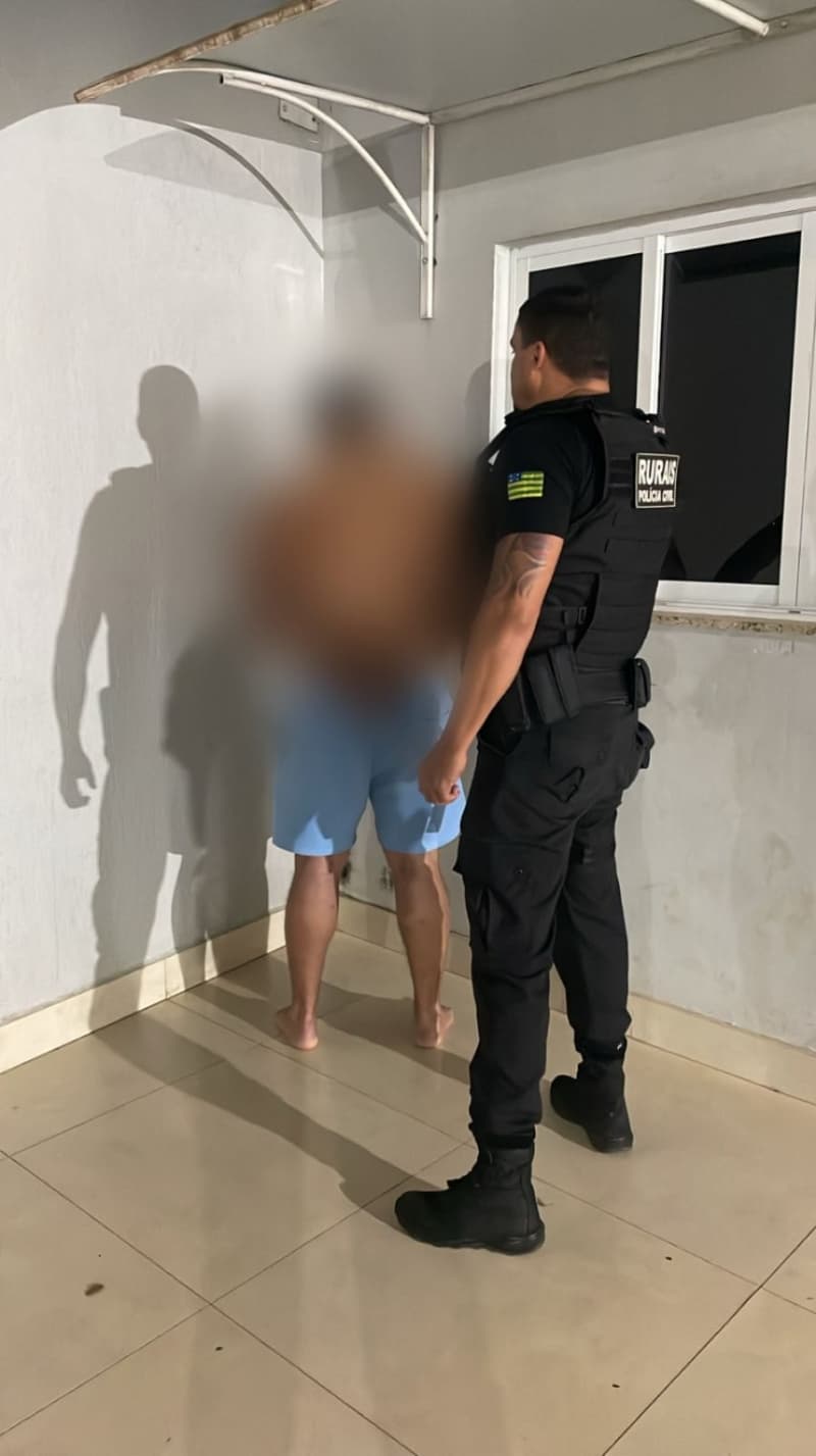 Fraude no transporte de animais é alvo de operação em Goiás e outros quatro estados 2 Fraude em transporte de animais