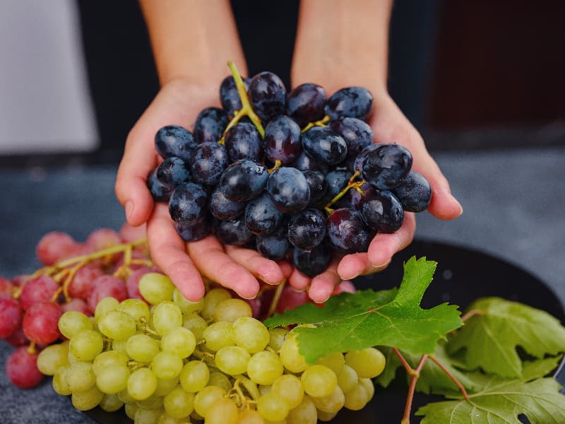 Setor de frutas brasileiras cresce com novas oportunidades e exportações recorde 3 Frutas brasileiras