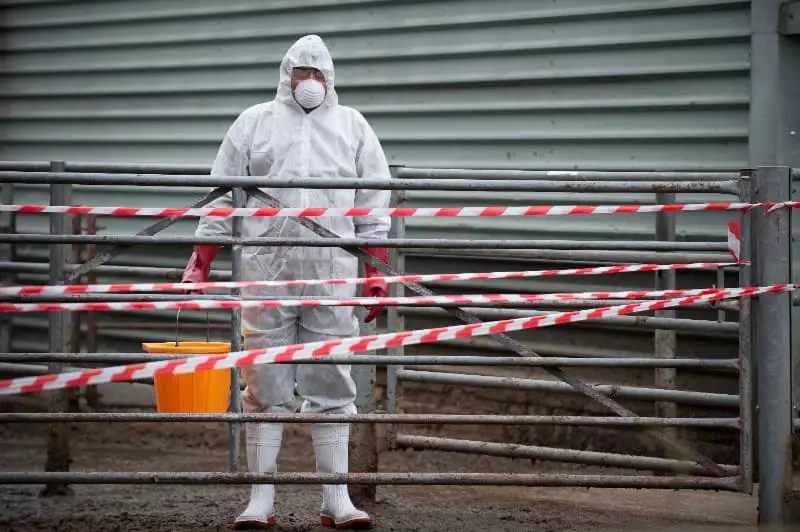 Gripe aviária atinge aves e leva à morte de 16 galinhas-d’angola no BioParque do Rio 3 Gripe aviária