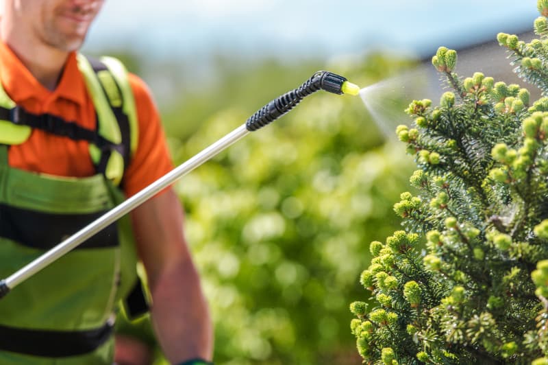 Uso de herbicidas dispara no Brasil com avanço da resistência ao glifosato 3 Herbicidas