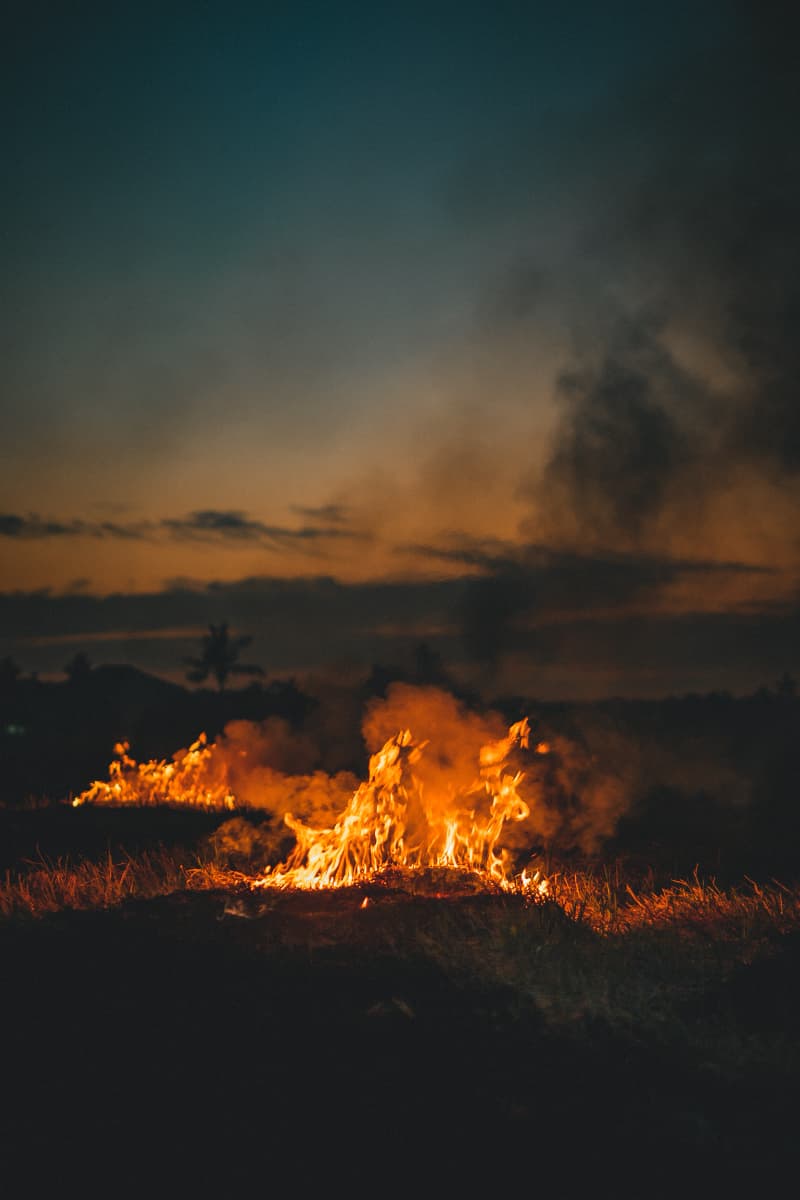 Incêndios impulsionam alta no desmatamento na Amazônia entre agosto e junho de 2025 3 Incêndio