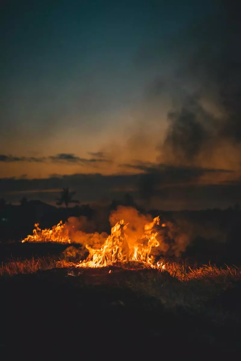 Incêndios impulsionam alta no desmatamento na Amazônia entre agosto e junho de 2025 3 Incêndio