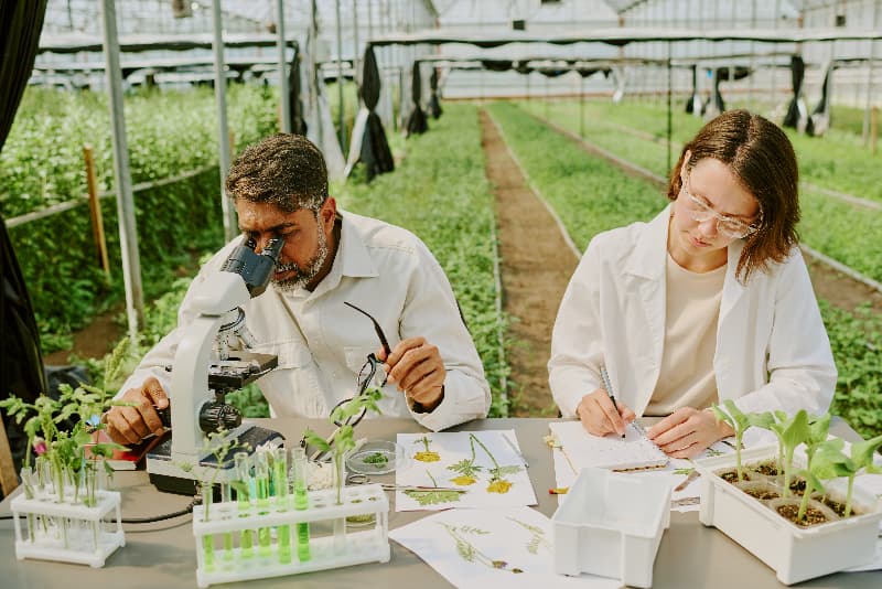 Defesa Agropecuária abre seleção para credenciamento de laboratórios em áreas estratégicas 2 Laboratorio-agropecuario
