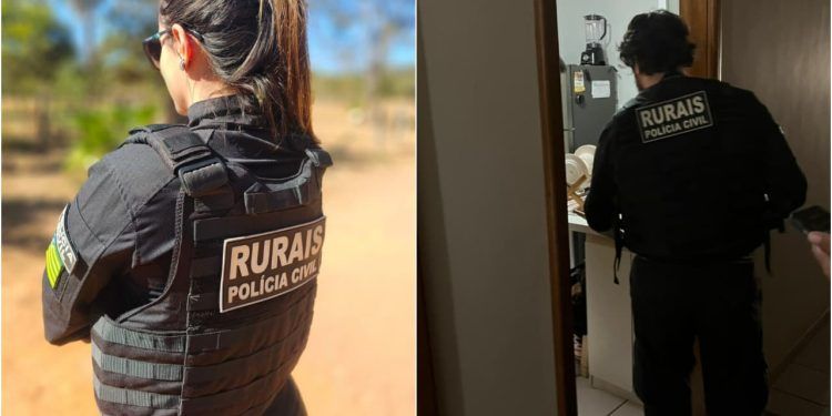 Mais de 160 cabeças de gado são furtadas de fazenda em Goiás 