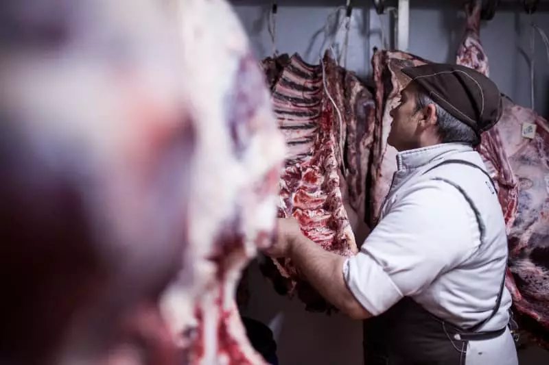 Paralisação da produção de carne bovina
