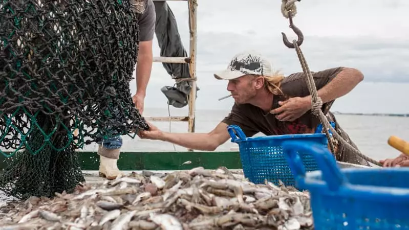 Pescados brasileiros