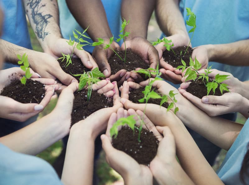 Sociobio Mais: nova política fortalece extrativismo e práticas sustentáveis no país 2 Praticas sustentaveis