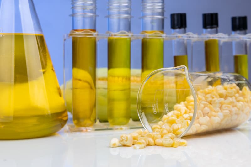 Preços ao produtor caem em maio e aliviam custos para o agro com alimentos 2 Preços ao produtor