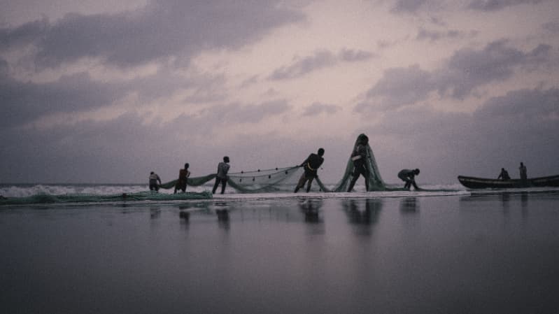 Cadastro de aquicultores no Registro Geral é prorrogado até 2026; veja como fazer 3 Registro de aquicultura