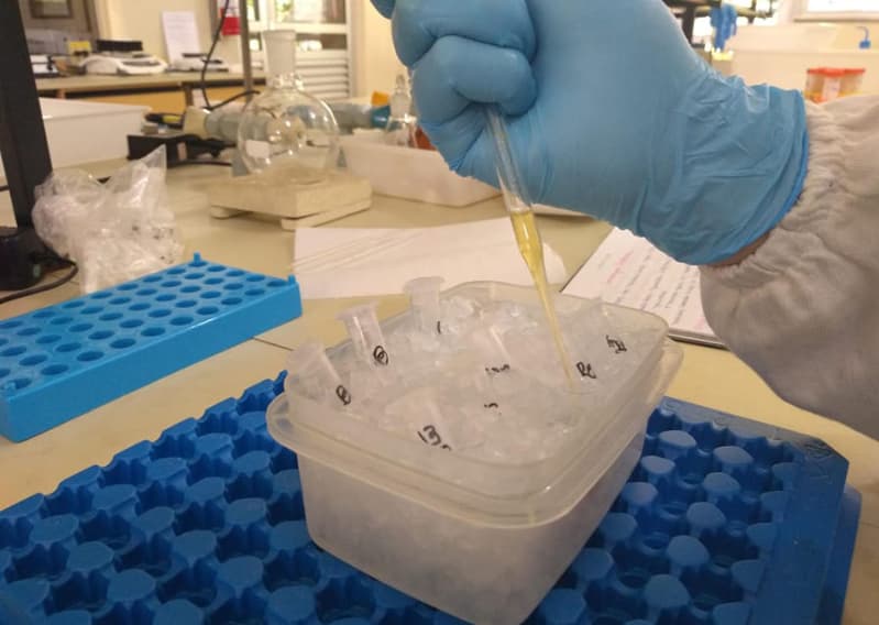 Nova técnica analisa resíduos de pesticidas no pólen de laranjeira com alta precisão 3 Resíduos de pesticidas