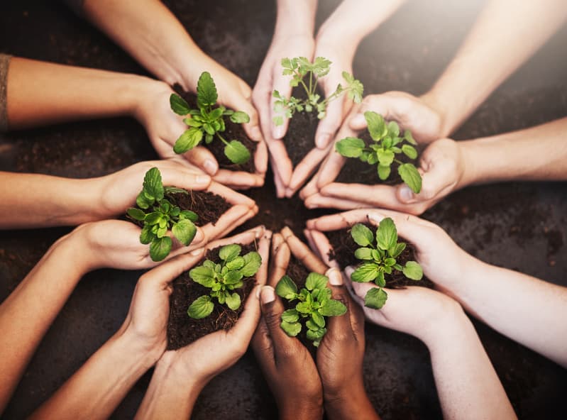 Sociobio Mais: nova política fortalece extrativismo e práticas sustentáveis no país 3 Sustentabilidade