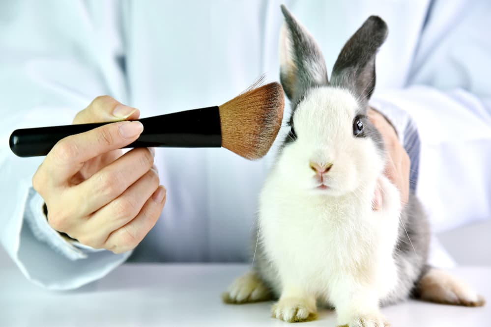 Câmara aprova projeto que proíbe testes com animais em cosméticos e perfumes 2 testes em animais