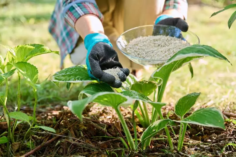 Uso de fertilizantes