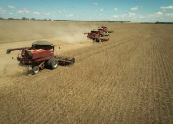 Balança comercial de Goiás registra superávit de US$ 826 milhões em julho