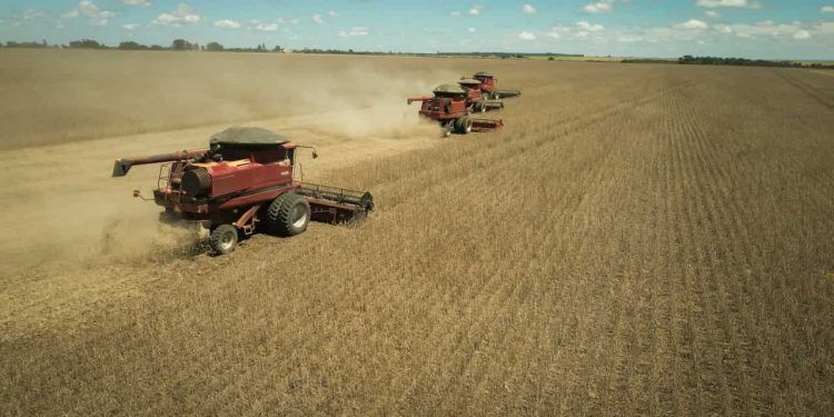 Balança comercial de Goiás registra superávit de US$ 826 milhões em julho