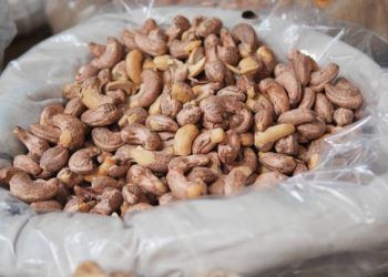 Bônus do Pronaf é concedido em agosto por preços abaixo do garantido