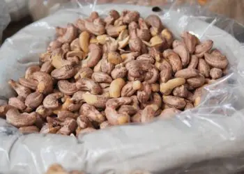 Bônus do Pronaf é concedido em agosto por preços abaixo do garantido