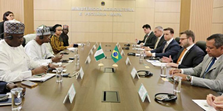 Brasil e Nigéria avançam em acordos para ampliar comércio agrícola