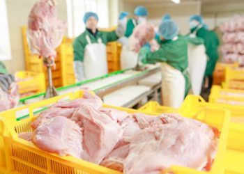 Brasil exporta 399 mil toneladas de carne de frango em julho