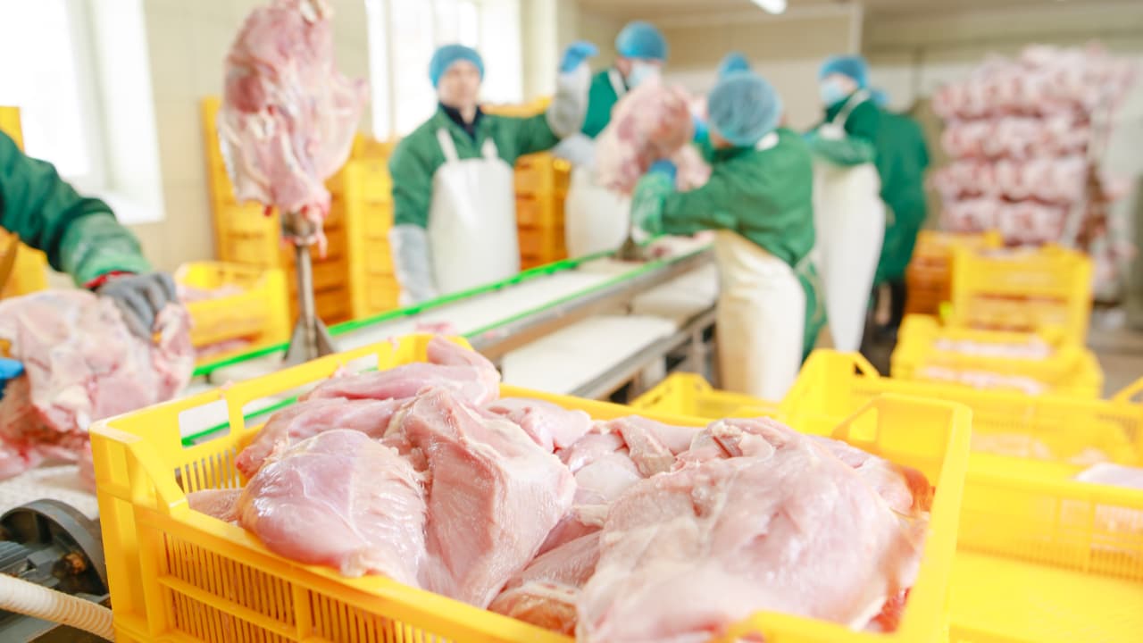 Brasil exporta 399 mil toneladas de carne de frango em julho