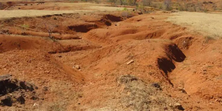 Brasil ganha novo mapa de erodibilidade dos solos para apoiar políticas de conservação 1 Brasil ganha novo mapa de erodibilidade dos solos para apoiar políticas de conservação