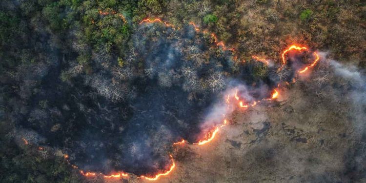 Brasil registra queda nos focos de calor e áreas queimadas em julho