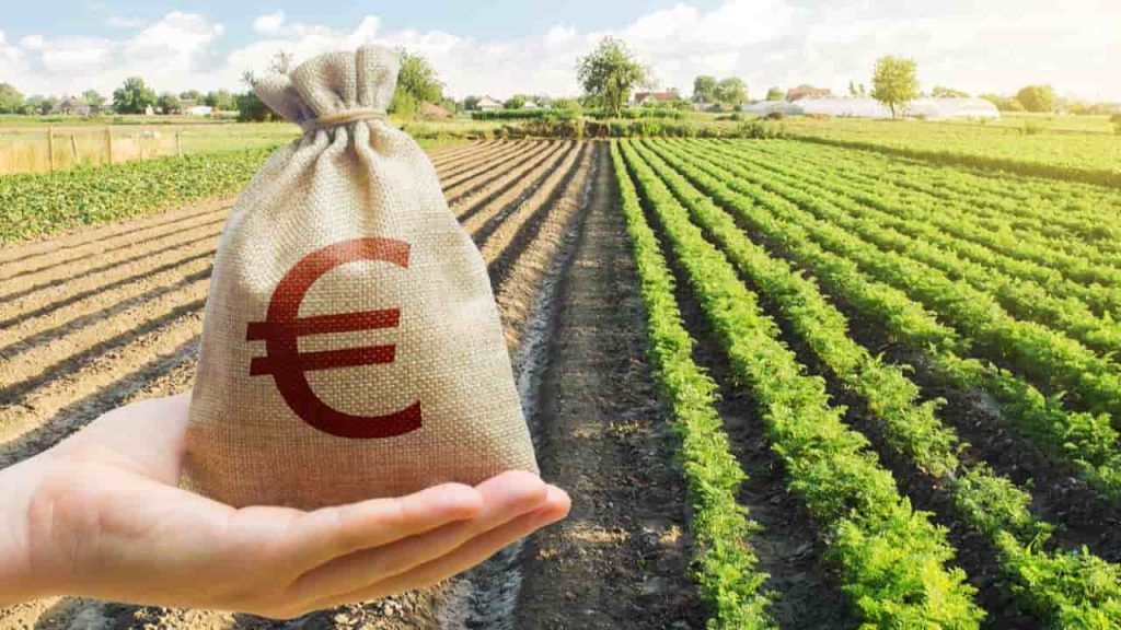 O poder do campo: quem são os bilionários do agronegócio em 2025, segundo a Forbes 3 CMN ajusta linhas de crédito para exportadores afetados por tarifas dos EUA