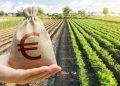 CMN ajusta linhas de crédito para exportadores afetados por tarifas dos EUA