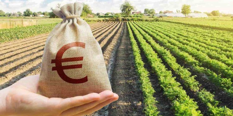 CMN ajusta linhas de crédito para exportadores afetados por tarifas dos EUA