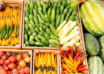 Certificado fitossanitário ultrapassa 20 mil emissões e acelera exportação de produtos vegetais