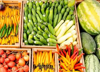 Certificado fitossanitário ultrapassa 20 mil emissões e acelera exportação de produtos vegetais 1 Certificado fitossanitário ultrapassa 20 mil emissões e acelera exportação de produtos vegetais