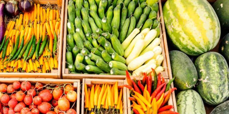 Certificado fitossanitário ultrapassa 20 mil emissões e acelera exportação de produtos vegetais