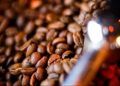 China autoriza exportação de café por 183 empresas brasileiras após tarifa dos EUA