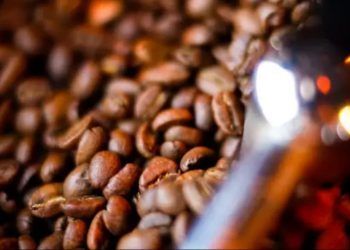 China autoriza exportação de café por 183 empresas brasileiras após tarifa dos EUA
