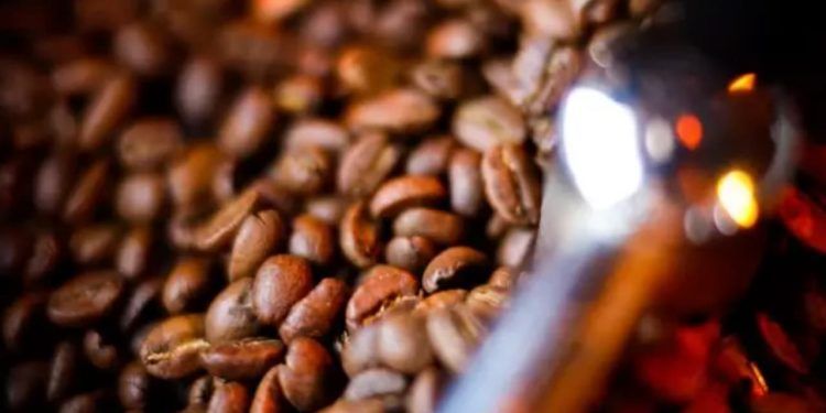 China autoriza exportação de café por 183 empresas brasileiras após tarifa dos EUA