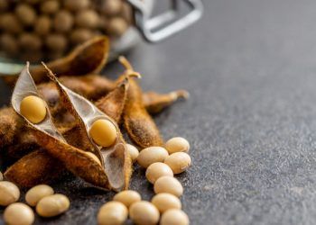 Goiás atinge produção recorde de soja na safra 2024/2025