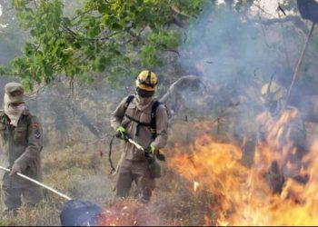 Goiás tem queda de 34% nos focos de queimadas nos primeiros sete meses de 2025