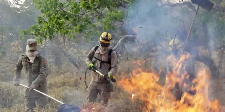 Goiás tem queda de 34% nos focos de queimadas nos primeiros sete meses de 2025 1 Goiás tem queda de 34% nos focos de queimadas nos primeiros sete meses de 2025