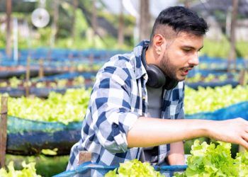 Inscrições para o Agro é Social Jovem vão até 31 de agosto em Goiás; veja como fazer