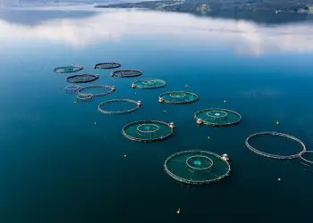 Nova ferramenta da FAO ajuda aquicultura a lidar com riscos climáticos