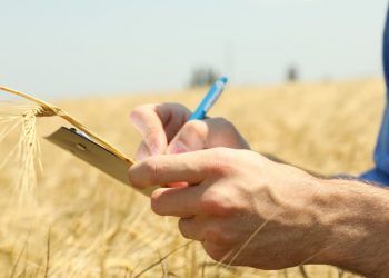 Nova ferramenta digital monitora emissões de metano e óxido nitroso no campo
