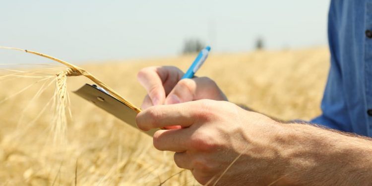 Nova ferramenta digital monitora emissões de metano e óxido nitroso no campo