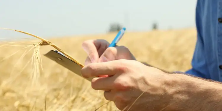 Nova ferramenta digital monitora emissões de metano e óxido nitroso no campo 1 Nova ferramenta digital monitora emissões de metano e óxido nitroso no campo
