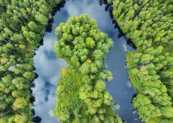 Nova lei do licenciamento ambiental é sancionada com vetos e ajustes previstos