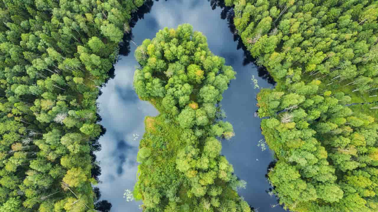 Nova lei do licenciamento ambiental é sancionada com vetos e ajustes previstos