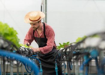 Nova tarifa dos EUA pode cortar 146 mil empregos no Brasil