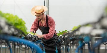 Nova tarifa dos EUA pode cortar 146 mil empregos no Brasil
