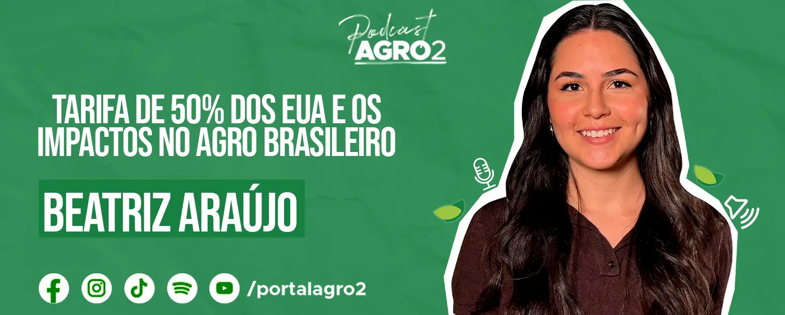Podcast com Beatriz Araujo
