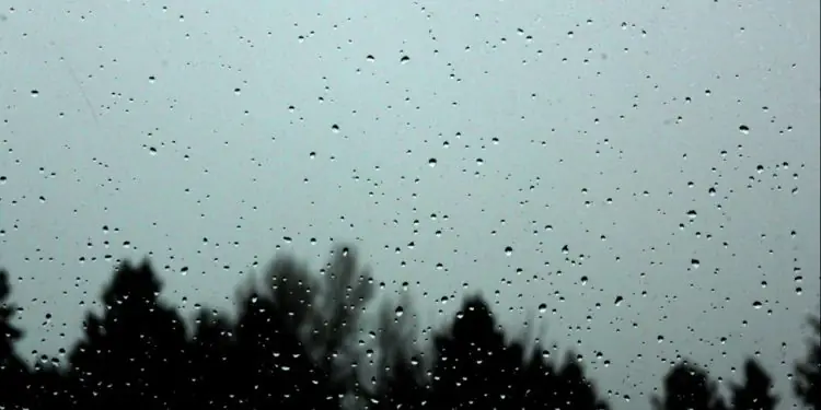 Precipitação de julho varia pelo país com extremos entre Norte chuvoso e Centro-Oeste seco 1 Precipitação de julho varia pelo país com extremos entre Norte chuvoso e Centro-Oeste seco