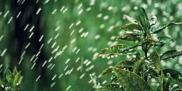 Semana será marcada por instabilidade no Norte e baixa umidade em várias regiões do país 1 Semana será marcada por instabilidade no Norte e baixa umidade em várias regiões do país